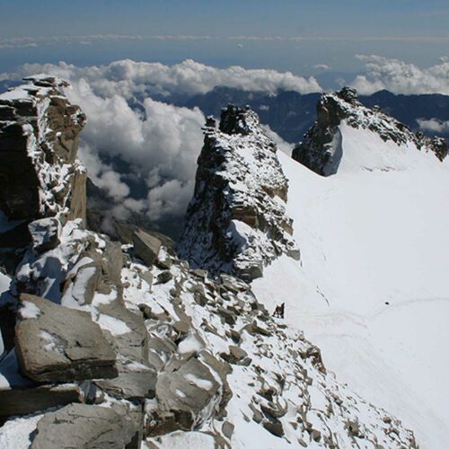 GRANPASCIALP